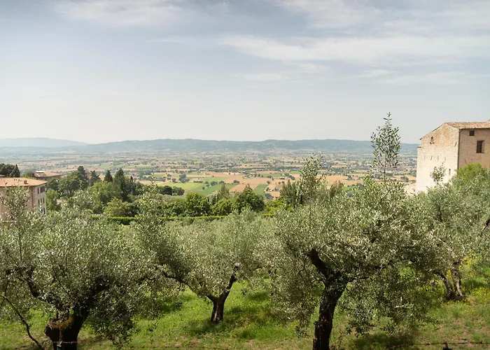 基奥斯特罗阿西西ii号住宿加早餐酒店 3*